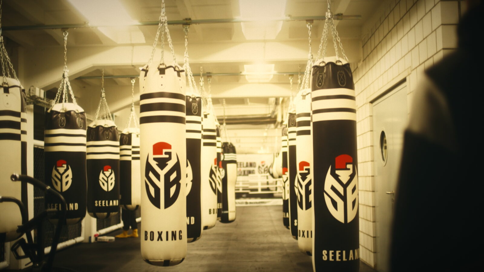 Seeland Boxing – «Beginne dein neues Ich» - Still 15