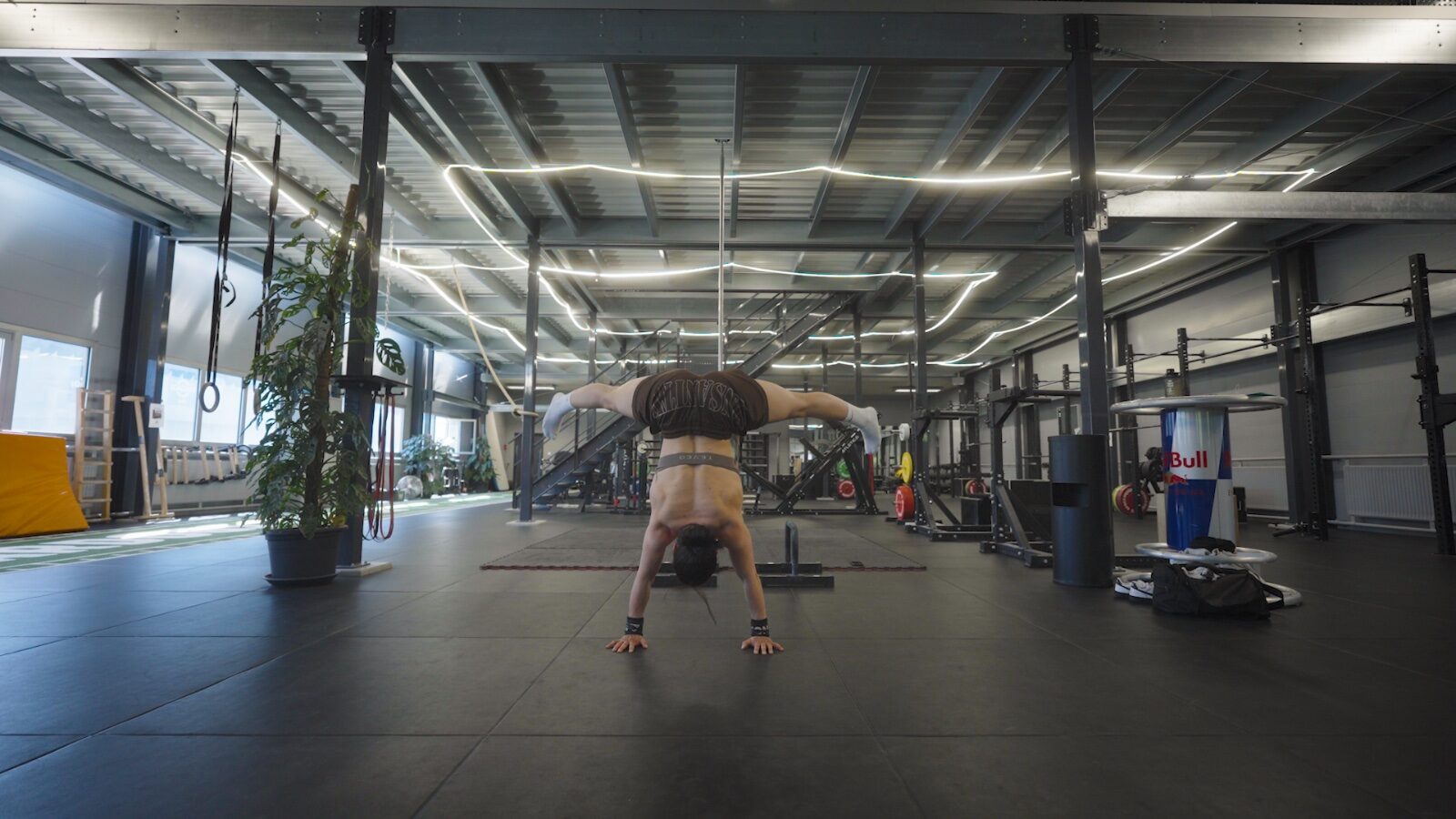 Dunja: Women, Strength & Bodybuilding Redefined - Still 12